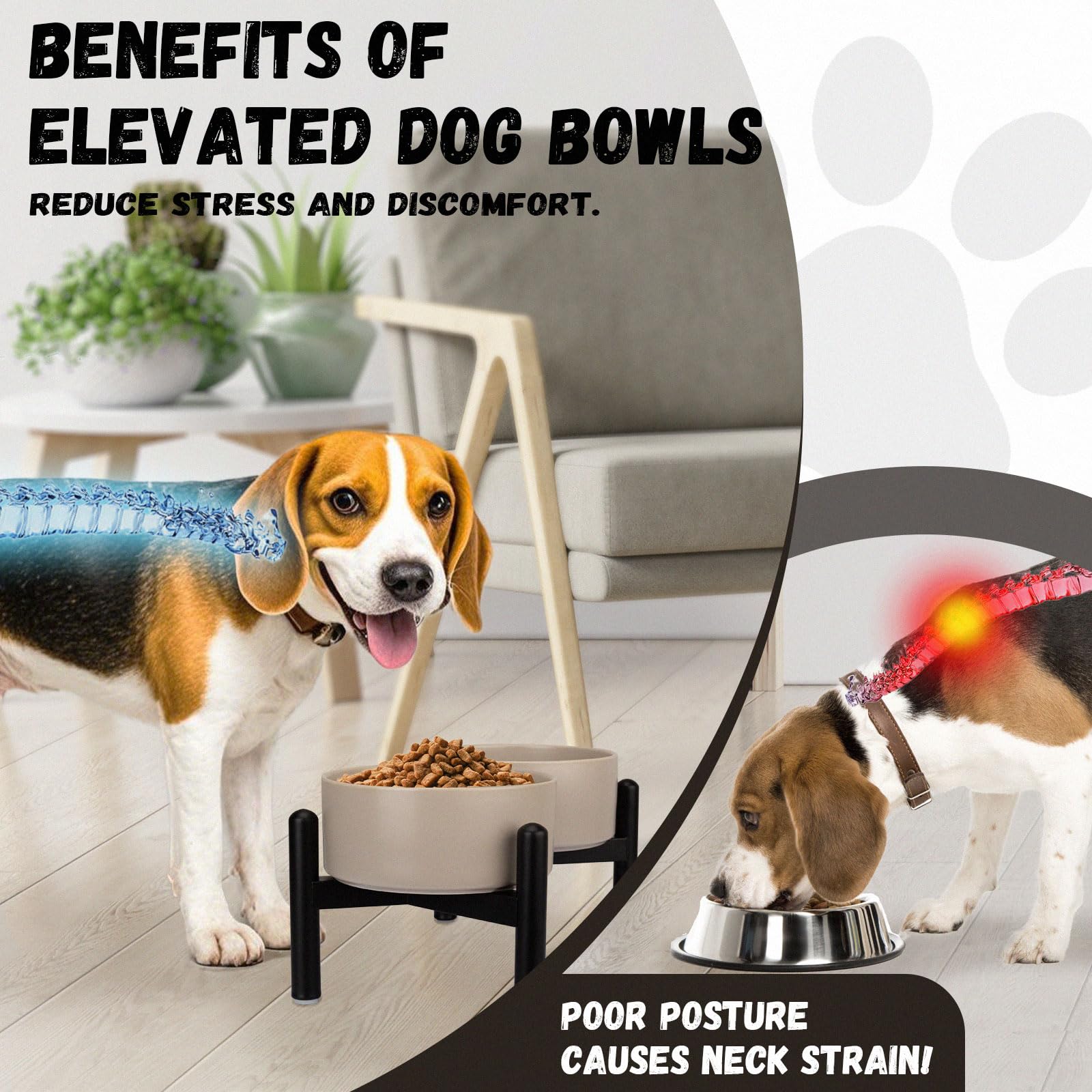 Amazon | 犬 フードボウル 陶器 食器 小型犬・中型犬用 ご飯皿・水飲み